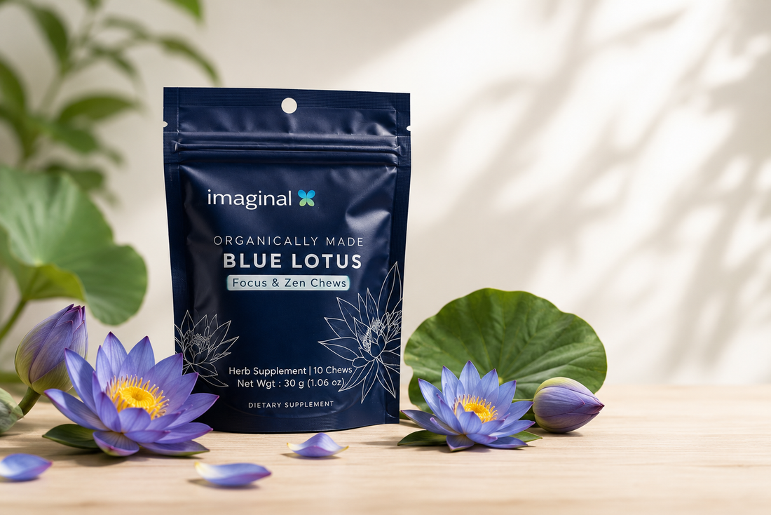 Blue Lotus botanical illustration