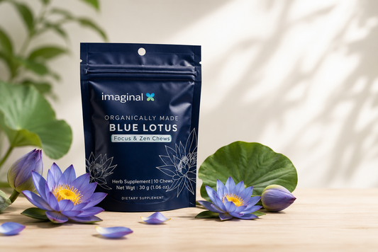 Blue Lotus botanical illustration